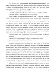 2004 metų finansinės atskaitomybės auditas: UAB "Autosabina" 5 puslapis