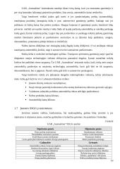2004 metų finansinės atskaitomybės auditas: UAB "Autosabina" 10 puslapis