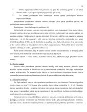 Vadovo požiūris ir pasitikėjimas darbuotojais 11 puslapis
