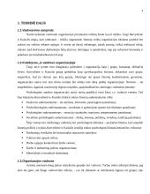 Vadovo požiūris ir pasitikėjimas darbuotojais 4 puslapis