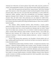 Vadovo požiūris ir pasitikėjimas darbuotojais 5 puslapis