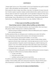 Vaikų tarpusavio konfliktai 6 puslapis