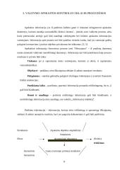 Valdymo apskaitos informacijos panaudojimas vidaus kontrolei 8 puslapis