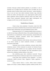 Valstybė ir teisė Senovės Rytų šalyse 11 puslapis