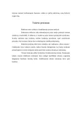 Valstybė ir teisė Senovės Rytų šalyse 12 puslapis