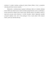 Veiklos sąnaudų auditas 2 puslapis