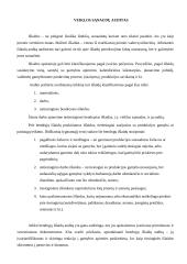 Veiklos sąnaudų auditas 3 puslapis