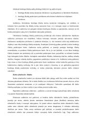 Veiklos sąnaudų auditas 4 puslapis