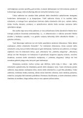 Veiklos sąnaudų auditas 5 puslapis