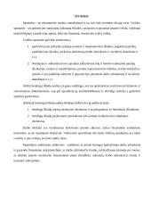 Veiklos sąnaudų auditas 6 puslapis