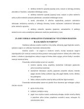 Verslo apskaitos standartų nauda bei reikalingumas 15 puslapis