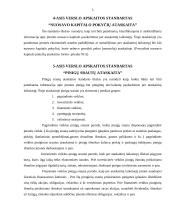 Verslo apskaitos standartų nauda bei reikalingumas 5 puslapis