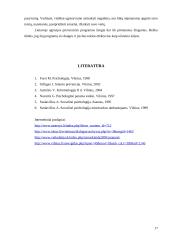 Agresijos prevencija mokykloje: Lietuvos ir užsienio šalių patirtis 17 puslapis
