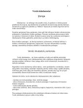 Verslo inkubatoriai 2 puslapis