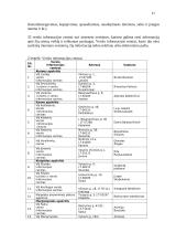 Verslo inkubatoriai 11 puslapis