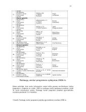 Verslo inkubatoriai 13 puslapis