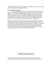 Verslo inkubatoriai 19 puslapis