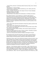 Verslo inkubatoriai 3 puslapis