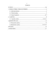 Verslo organizavimo formos ir įmonės pelnas 2 puslapis