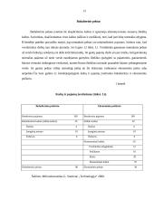 Verslo organizavimo formos ir įmonės pelnas 13 puslapis