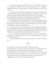 Verslo organizavimo formos ir įmonės pelnas 14 puslapis