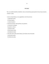 Verslo organizavimo formos ir įmonės pelnas 16 puslapis