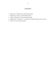 Verslo organizavimo formos ir įmonės pelnas 17 puslapis