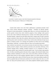 Verslo organizavimo formos ir įmonės pelnas 9 puslapis