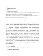 Aktyvieji ugdymo metodai geografijos pamokose 11 puslapis