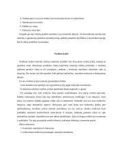 Aktyvieji ugdymo metodai geografijos pamokose 12 puslapis