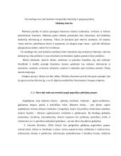 Aktyvieji ugdymo metodai geografijos pamokose 17 puslapis