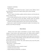 Aktyvieji ugdymo metodai geografijos pamokose 10 puslapis