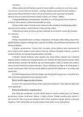 Verslo organizavimo formos Lietuvoje, jų privalumai ir trūkumai 5 puslapis