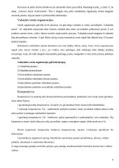 Verslo organizavimo formos Lietuvoje, jų privalumai ir trūkumai 6 puslapis