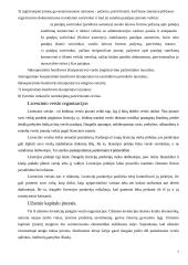 Verslo organizavimo formos Lietuvoje, jų privalumai ir trūkumai 7 puslapis