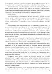 Verslo organizavimo formos Lietuvoje, jų privalumai ir trūkumai 9 puslapis