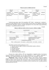 Aktyvų ir pasyvų valdymas 11 puslapis