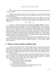 Aktyvų ir pasyvų valdymas 12 puslapis