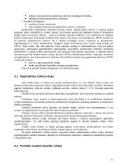 Aktyvų ir pasyvų valdymas 13 puslapis