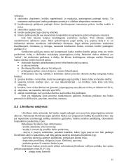 Aktyvų ir pasyvų valdymas 15 puslapis