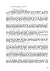 Aktyvų ir pasyvų valdymas 16 puslapis