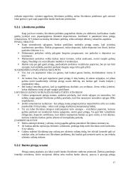 Aktyvų ir pasyvų valdymas 17 puslapis