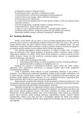 Aktyvų ir pasyvų valdymas 19 puslapis