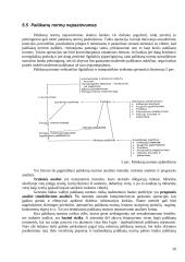 Aktyvų ir pasyvų valdymas 20 puslapis