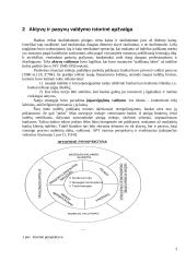 Aktyvų ir pasyvų valdymas 3 puslapis