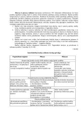 Aktyvų ir pasyvų valdymas 4 puslapis