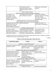 Aktyvų ir pasyvų valdymas 5 puslapis