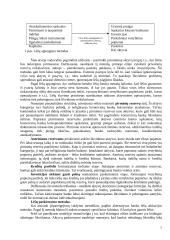 Aktyvų ir pasyvų valdymas 7 puslapis