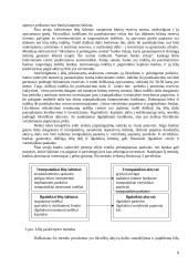 Aktyvų ir pasyvų valdymas 8 puslapis