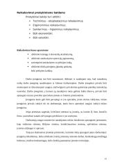 Verslo planas: Individuali Jono Jonaičio įmonė automobilių servisas 11 puslapis